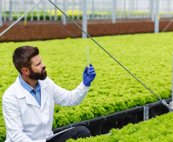 Pioneering regional agricultural engineering solutions.