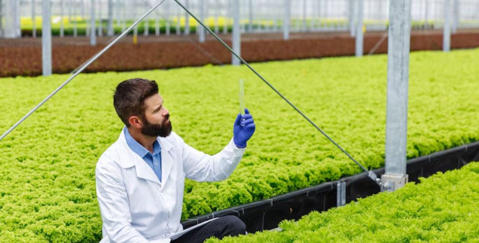 Pioneering regional agricultural engineering solutions.