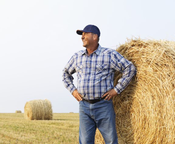 Optimizing large-scale farm production performance.