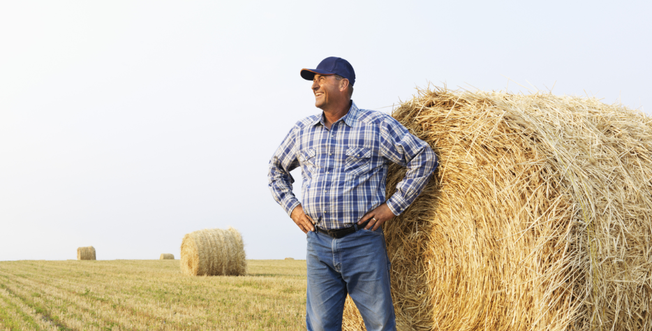 Optimizing large-scale farm production performance.