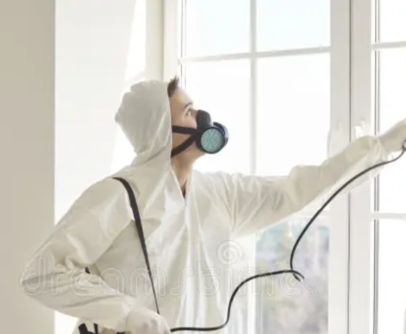 Expert public health pest management.