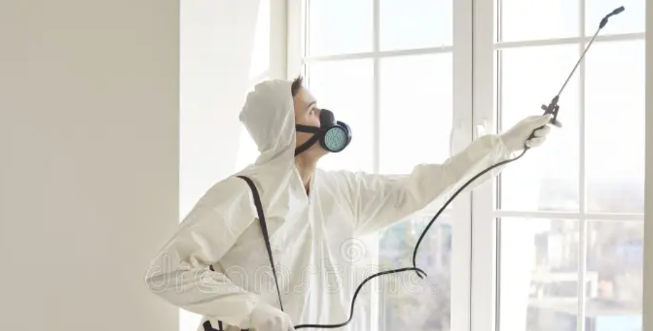 Expert public health pest management.