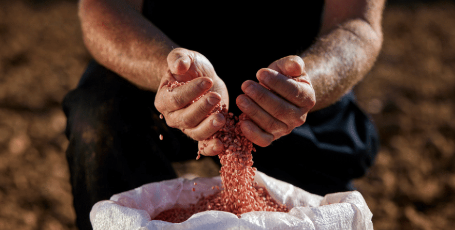 Middle East’s leading seed facility.