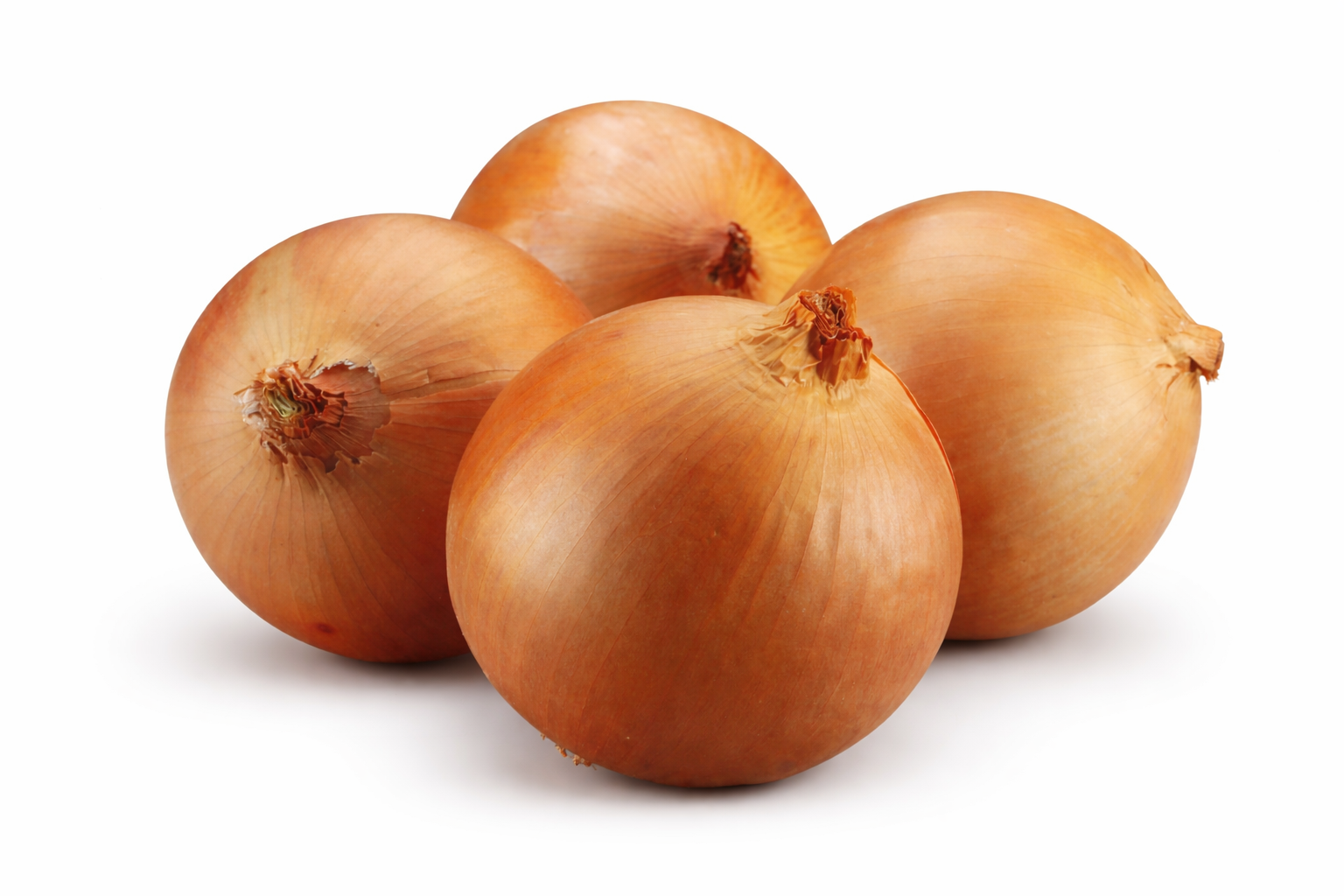 Carmen - Short day onion