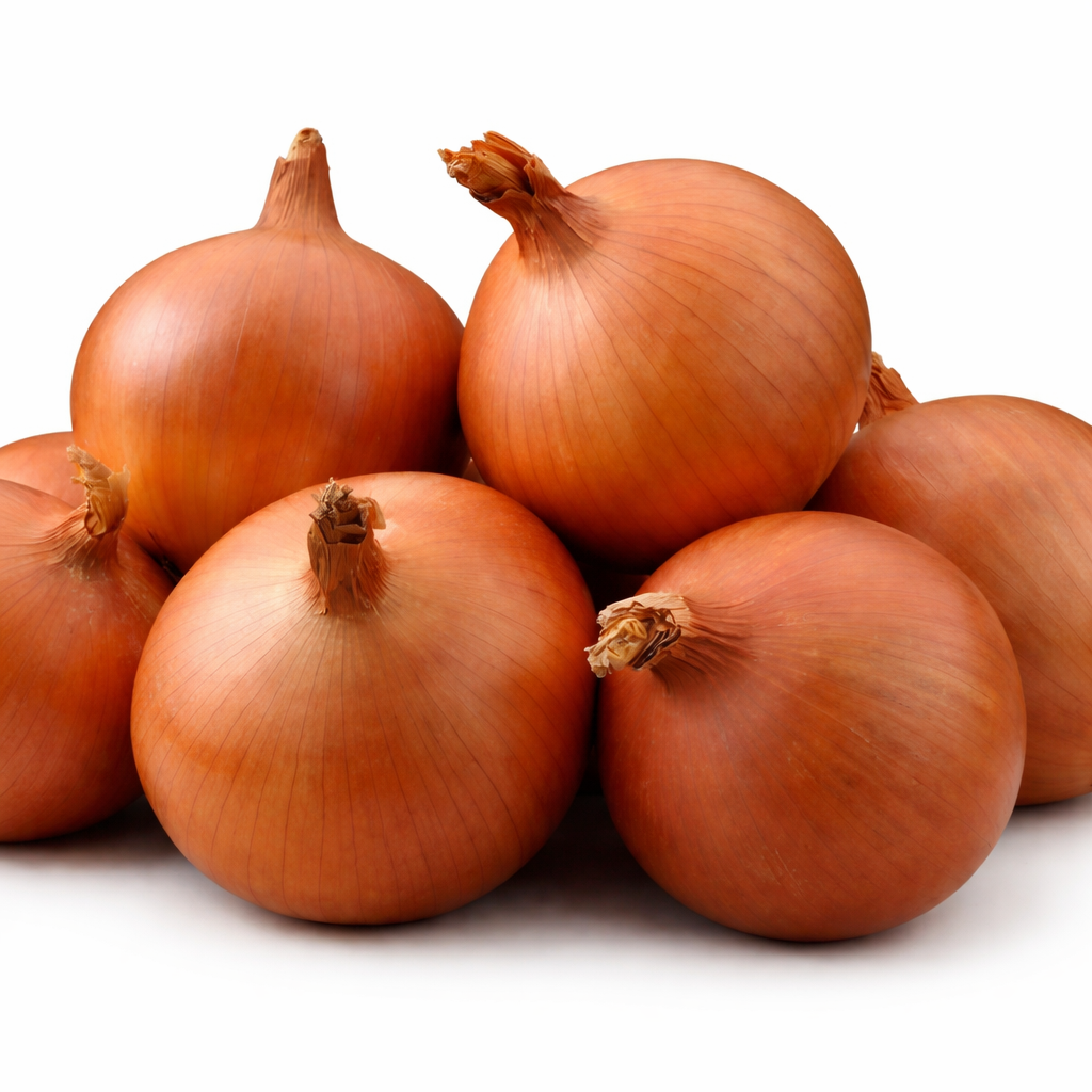 Oscar - long day onion